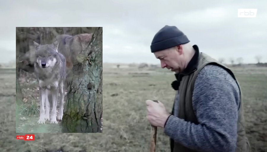 Szene aus dem Film „Wölfe, Wut und Weidezäune“