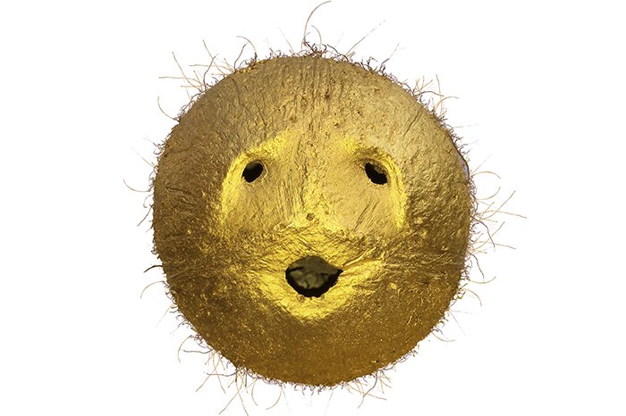 Titelbild Kabakon oder Die Retter der Kokosnuss