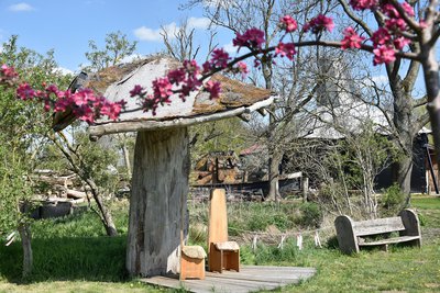Bild zum Beitrag 'Kultur to go'